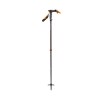 Black Diamond Carbon Whippet Stick