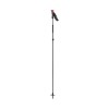 Raséierapparat Carbon Ski Pole Black Diamond