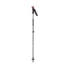 Raséierapparat Carbon Ski Pole Black Diamond
