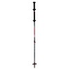 Move Carbon 2 TSL Pole - Swing Tipp