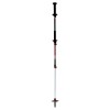 Move Carbon / Alu 2 Ajustéieren TSL Pole - Swing Tipp