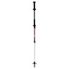 Move Carbon / Alu 2 Ajustéieren TSL Pole - Twist Tipp