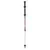 Move Carbon / Alu 2 TSL Pole - Push & Pull Tipp
