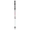 Move Carbon / Alu 2 TSL Pole - Twist tip