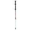 Move Carbon / Alu 2 TSL Pole - Standard Tipp