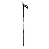 CONNECT CARBON 2 Pole - Cross Wt grip/Standard tip