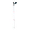 CONNECT CARBON 2 Pole - Liicht St Grip / Standard Tipp