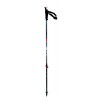 CONNECT CARBON 2 Pole - Liicht Wt Grip / Standard Tipp