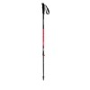 Bâtons TOUR CARBON 2 - poignée Light/pointe Standard - 87.5-140 cm