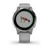 Vivoactive 4s - Gris poudré avec boîtier argent