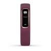 Vivosmart 4 Band - Rose Gold ja Plum Band