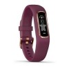 Vivosmart 4 Band - Rose Gold ja Plum Band