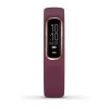Vivosmart 4 Band - Rose Gold ja Plum Band