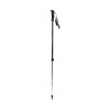 Explorer 2 Black Diamond stenger - antrasitt