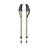 Explorer 2 Black Diamond Poles - Burnt Olive