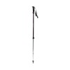 Explorer 2 Black Diamond stenger - Mulberry