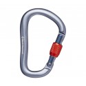 Rocklock Screwgate Black Diamond Carabiner