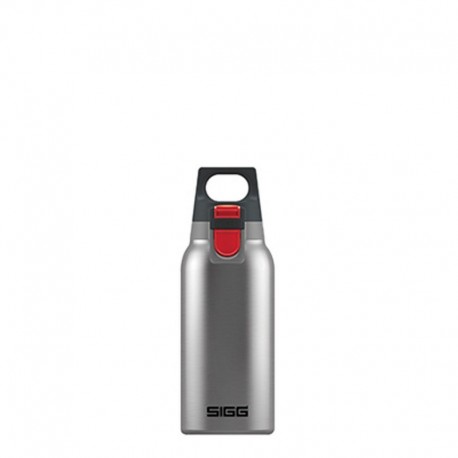 Gourde Hot & Cold One Sigg - 0.3 L - Brushed