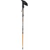 Guidetti Flash Carbon PAM Poles