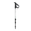 Bâtons Altitude Easy Lock Guidetti - Ice