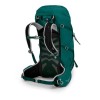 Osprey Tempest 34 Trekking Ryggsäck - Jasper Green