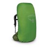 Aether 55 Osprey Trekking Backpack - Garlic Senap Green