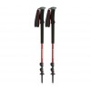 Pakirajte krplje Symbioz Expert TSL + palice Trail Black Diamond