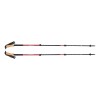 Trail Ergo Cork Black Diamond Pole - picante