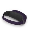 Sac banane Daylite Waist Osprey - Dream Purple