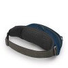 Sac banane Daylite Waist Osprey - Aluminum Grey