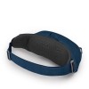 Sac banane Daylite Waist Osprey - Wave Blue