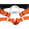 Sele Aven Petzl