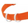 Petzl Superavanti Harness