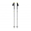 Black Diamond Expeditioun 3 Pole