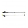 Bâtons Expedition 2 Black Diamond