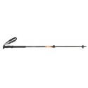 Wanderung Carbon TSL Pole
