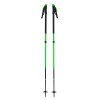 Vapor Carbon 2 Black Diamond Poles - grön
