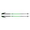 Vapor Carbon 2 Black Diamond Poles - grön