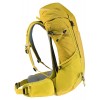 Deuter Futura 26 Backpack - turmeric-greencurry