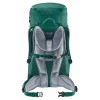 Mochila infantil Fox 30 Deuter - verde alpino-bosque