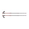 Bâtons Trail Sport Black Diamond - Octane