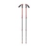 Bâtons Trail Sport Black Diamond - Octane
