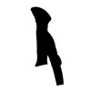 G-Light Alu Sticks 2016 Guidetti