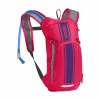 Kinderrugzak Mini M.U.L.E Camelbak - Felroze/Paarse streep