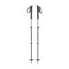 Bâtons Expedition 3 2016-2017 Black Diamond