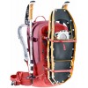 Deuter Freerider 28 SL バックパック - カラントマルーン