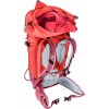 Deuter Freerider Pro 32+ SL バックパック - ブラウンカラント