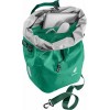 Weybridge 25+5 Deuter Velo Bag - Fern