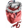 Weybridge 25+5 Deuter Pannier - Redwood