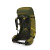Sac à dos Atmos AG LT 65 Osprey - Scenic Valley/Green Peppercorn